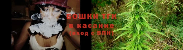 винт Арсеньев