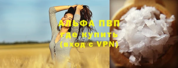 ешки Аркадак