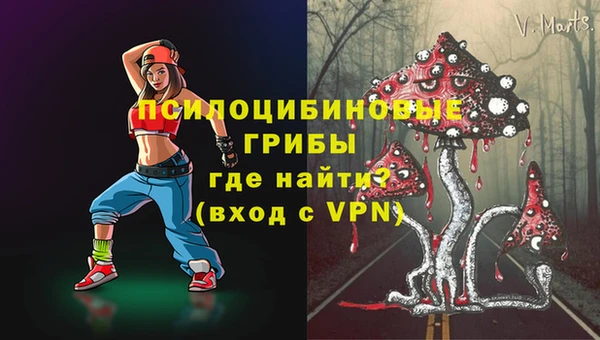 винт Арсеньев