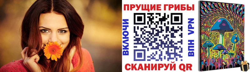 Галлюциногенные грибы Magic Shrooms  Павловск 